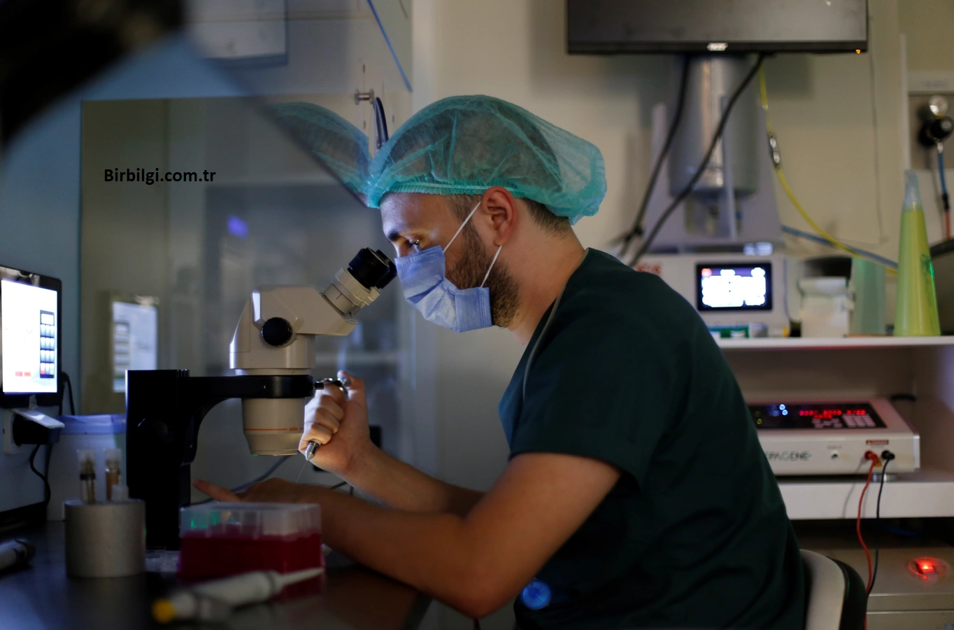 Klinik Embriyolog Maaşları 2024 1 Klinik Embriyolog Maaşları 2024