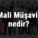 Mali Müşavir Staj Maaşı