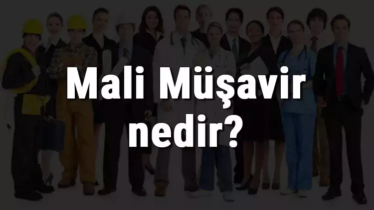 Mali Müşavir Staj Maaşı 1 Mali Müşavir Staj Maaşı
