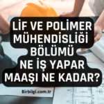 Yaşam ve Polimer Mühendisliği Maaşları