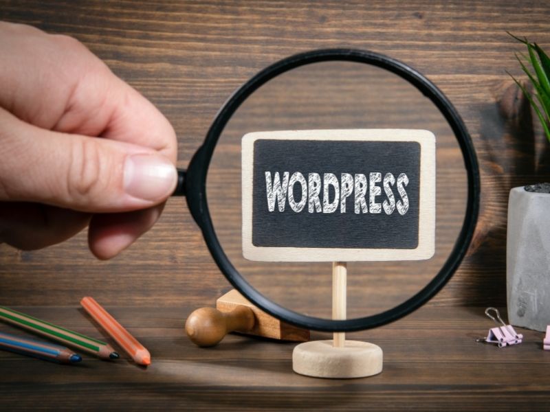 WordPress Uzmanı ile Başarılı Web Siteleri Oluşturun