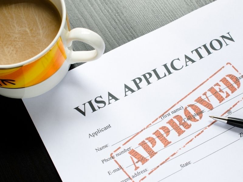 Vize Danışmanlık Hizmetlerinin Önemi